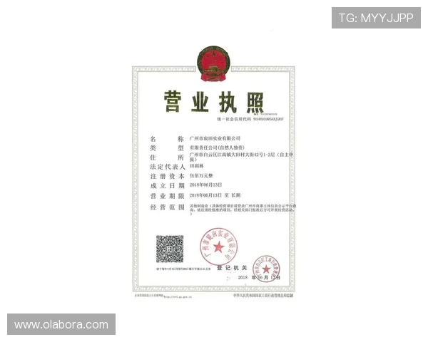 尊龙会官网会员登录入口网址官方入口网址最新公告与维护通知