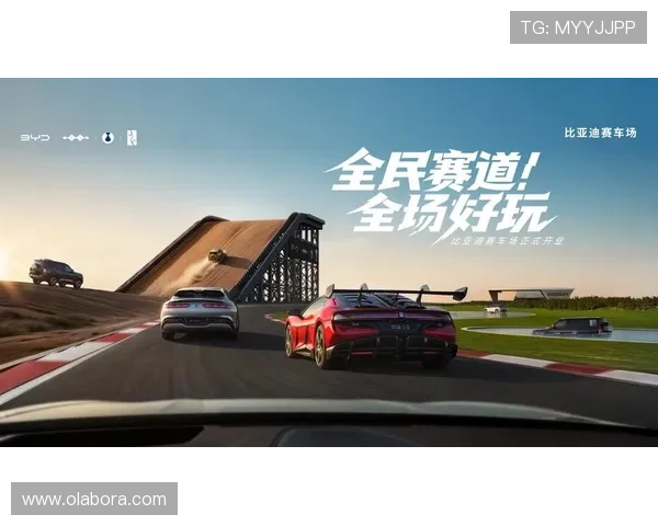 探索z尊龙凯时官方：平台的安全性与用户评价