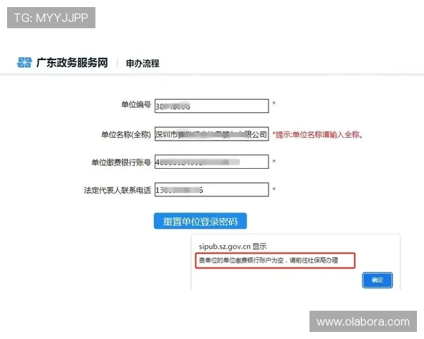 尊龙中国官网登录入口账号安全保护措施及密码重置的详细操作流程