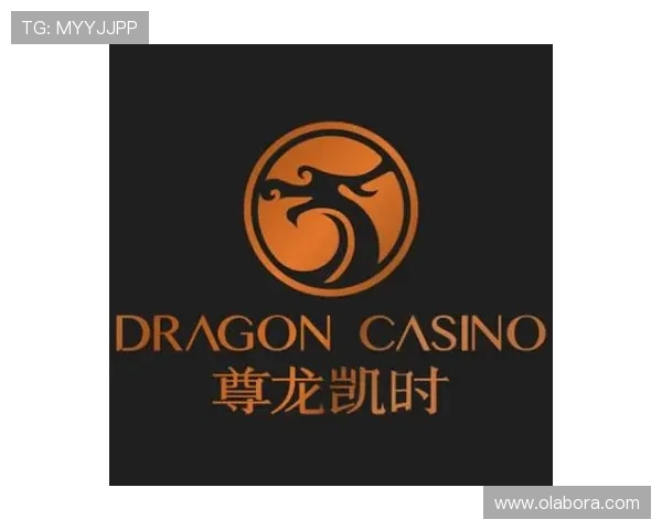 尊龙凯时官网平台客户服务体系详解为玩家提供全方位的帮助与支持