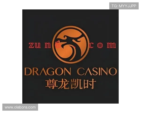 尊龙凯时百家乐官网的客户服务体系，提供专业的技术支持与优质的用户体验