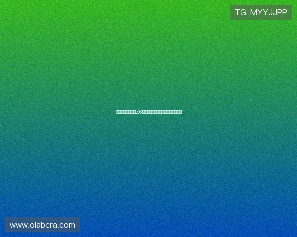 新手如何快速上手Z6尊龙娱乐官网入口的操作技巧与策略