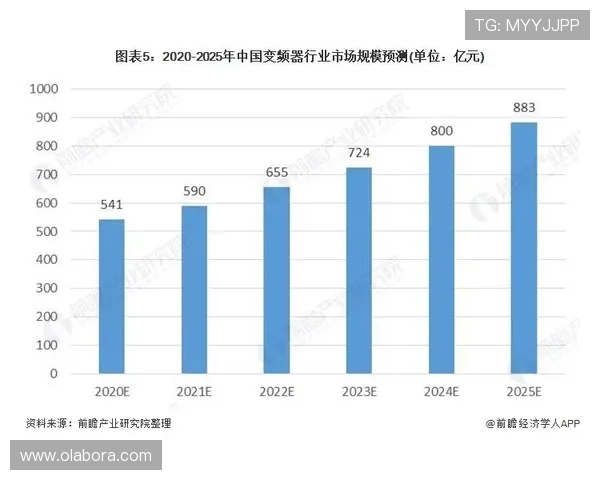 深入分析凯时Z6集团的市场策略与发展计划