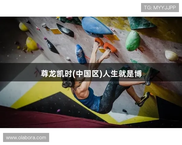 尊龙人生就是搏旧版：详细攻略与玩法技巧全面解析