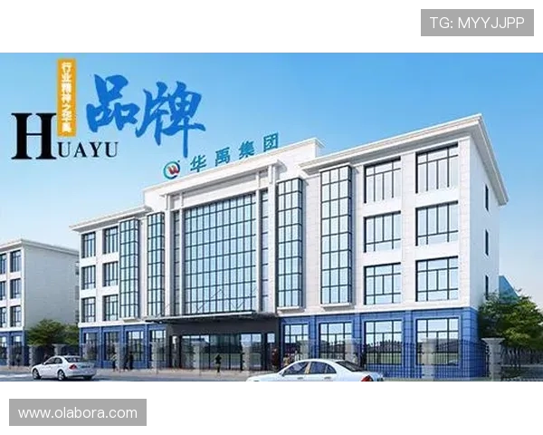凯时尊龙官网网址最新入口信息，帮助用户轻松找到官方登录网址